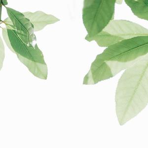 调教势性交喷水內射叫床免费视频
